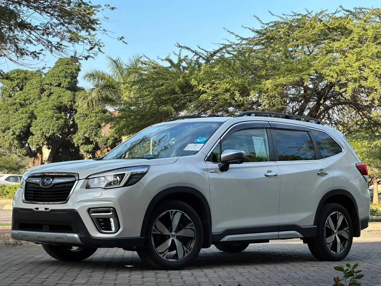 FORESTER thumbnail 3